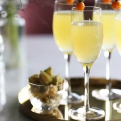 FINN CHAMPAGNEGLASS 24 CL